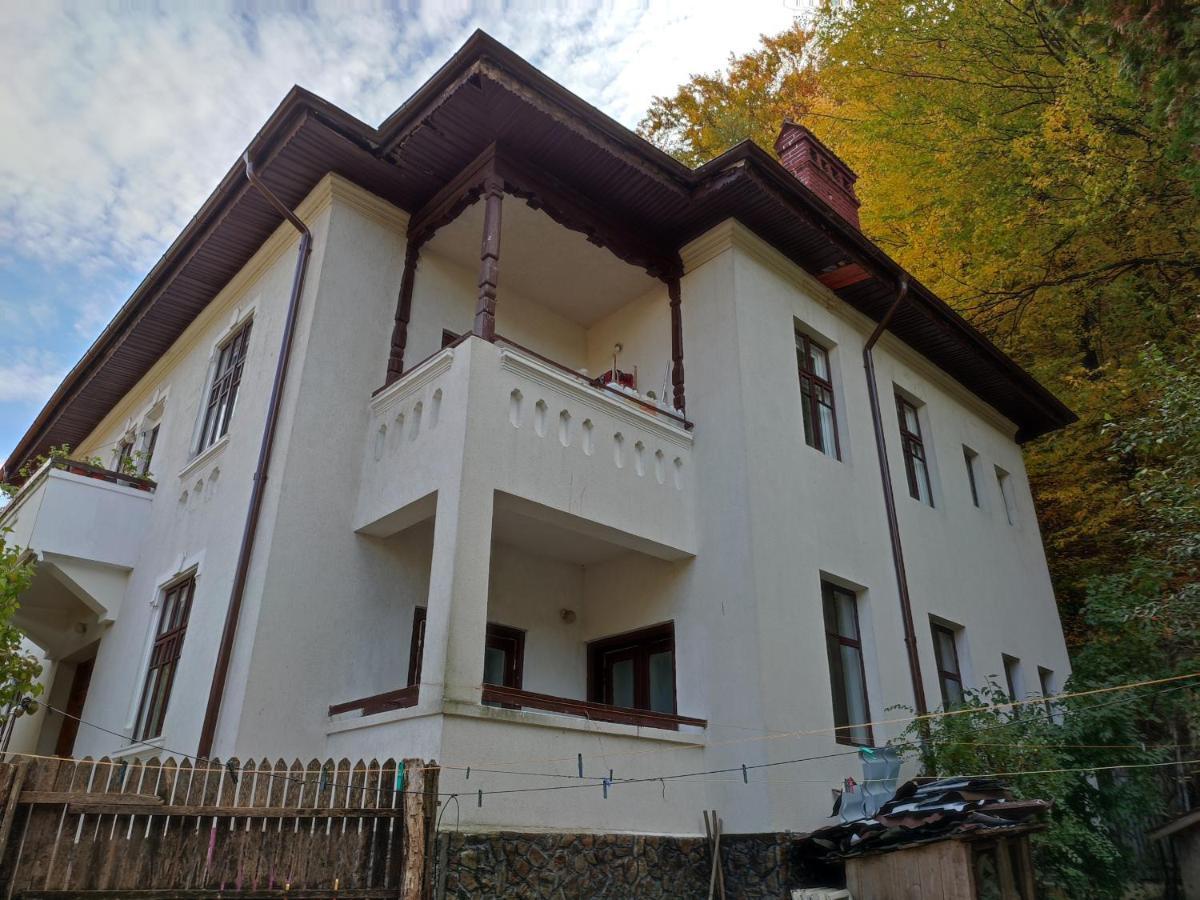 Vila Brazilor Căciulata Kültér fotó