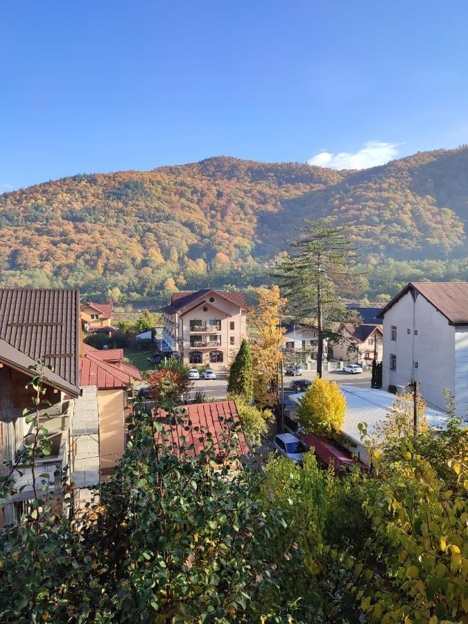Vila Brazilor Căciulata Kültér fotó
