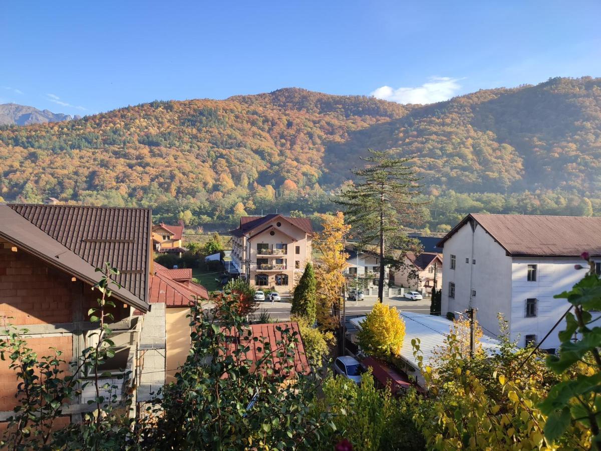 Vila Brazilor Căciulata Kültér fotó